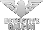 Logo Detective Halcon